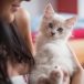 猫咪视频 作者何知夏的头像，一位在暖光下抱着笔记本的宠物社区运营者形象