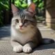 用户下班解压靠猫猫头像，猫咪视频解压用户评论