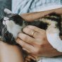 读者头像：午后窗台上趴着的一只三花猫，光线柔和