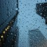 读者薯条不加盐的头像，窗外雨天的模糊背景，人物背影
